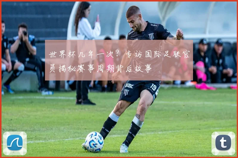 世界杯几年一次？专访国际足联官员揭秘赛事周期背后故事